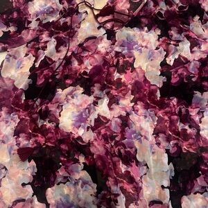 Lane Bryant Purple and Pink Floral Skirt NWOT